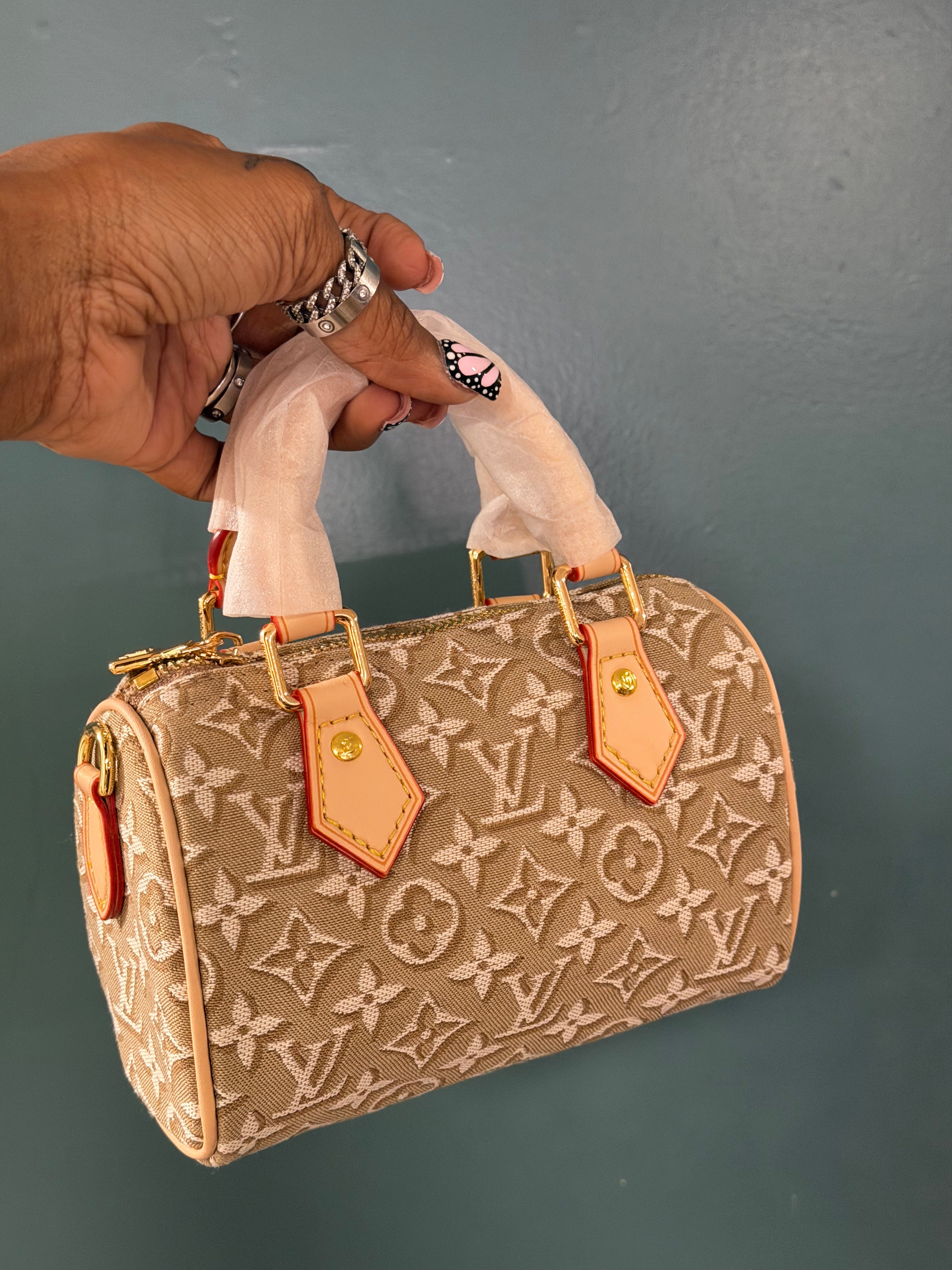 Lv suede speedy
