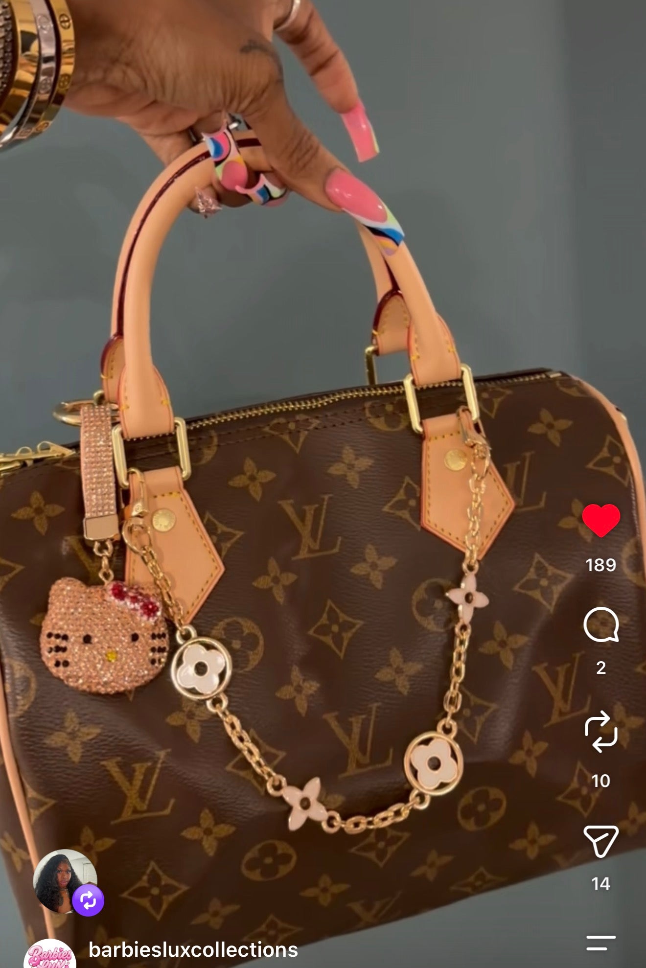 Lv bag