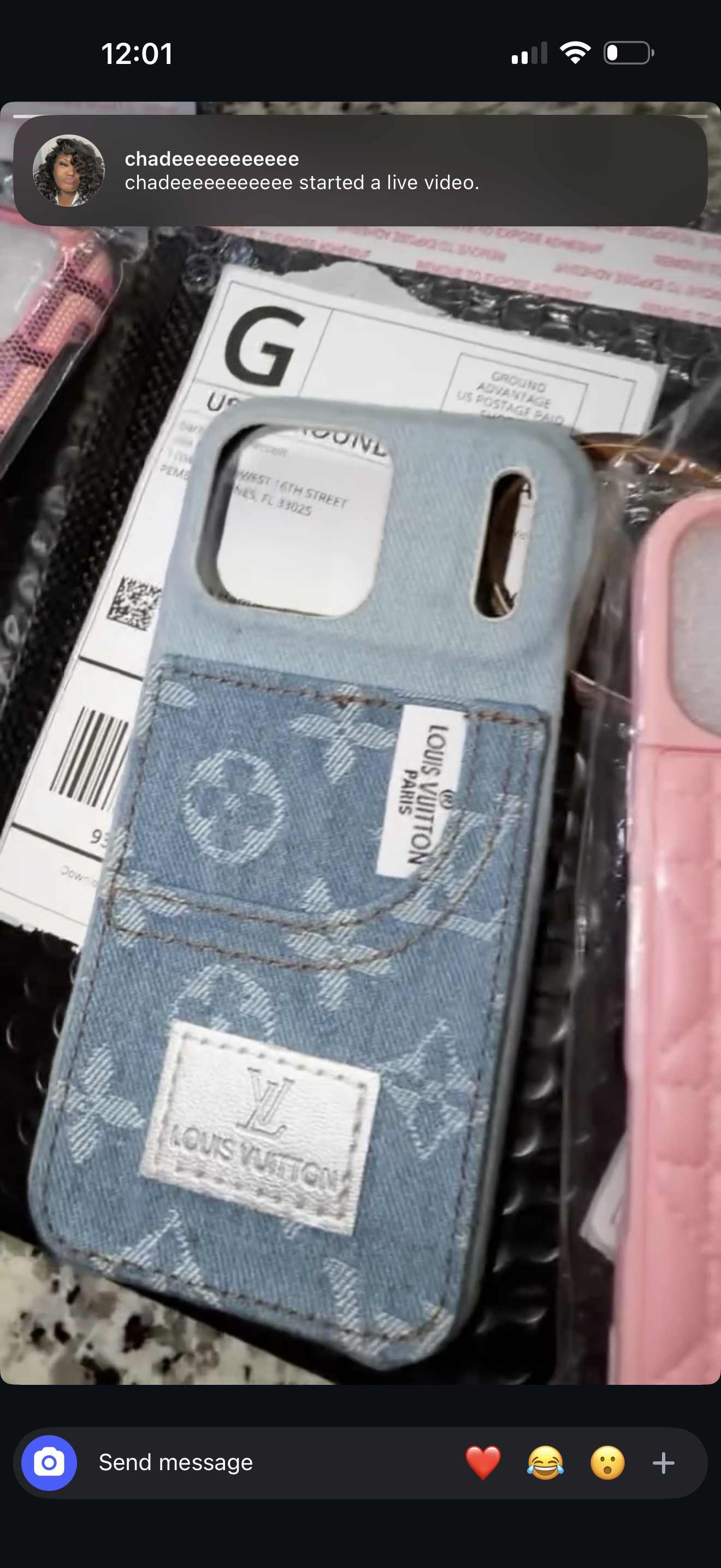 LV denim case